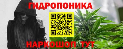 каннабис Аргун