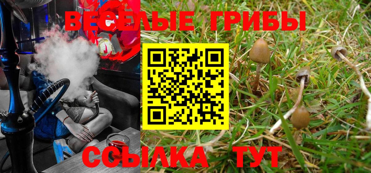 Галлюциногенные грибы MAGIC MUSHROOMS Батайск