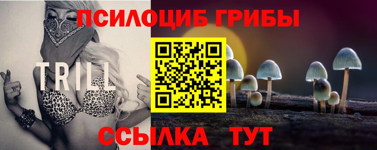Галлюциногенные грибы GOLDEN TEACHER  Псилоцибиновые грибы прущие грибы  Батайск  Вход с VPN 
