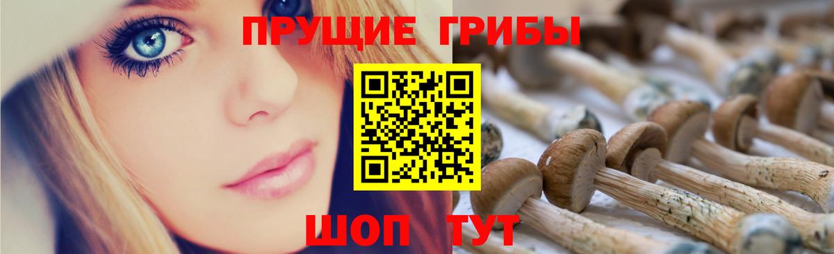 Галлюциногенные грибы Cubensis  что такое   Батайск 